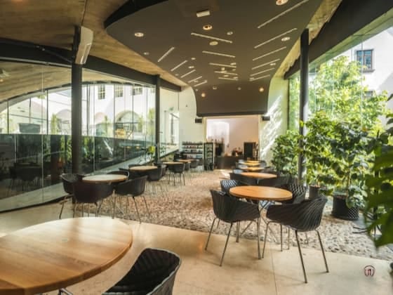 Nowoczesne wnętrze restauracji z dużymi oknami i zielenią przy stołach.