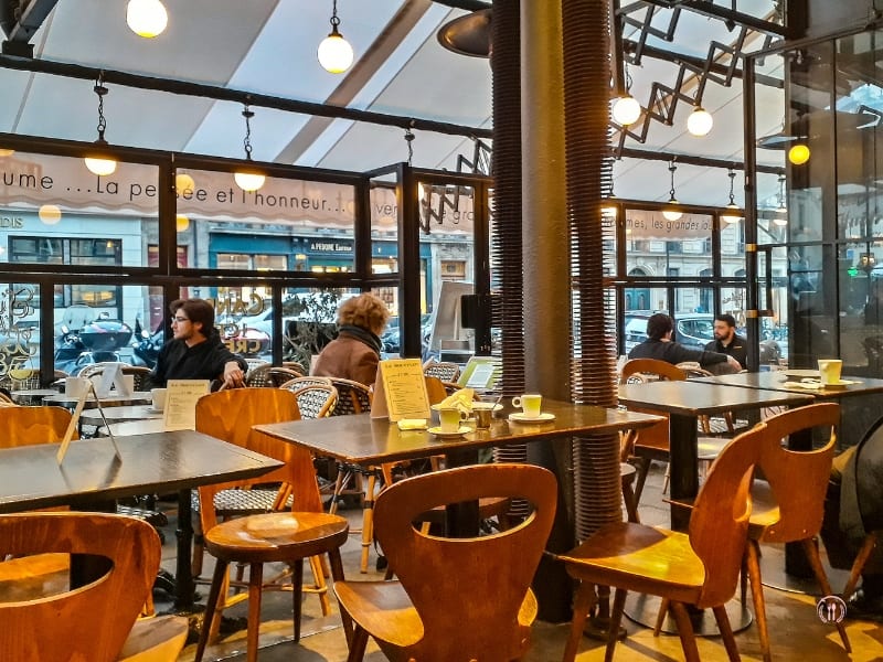 Nowoczesna oranżeria z przeszklonymi ścianami i drewnianymi krzesłami w stylu retro.